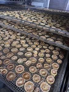 มะนาวแห้งคุณภาพสูง บลูโลตัส แบบฟรีซดราย รสหวานธรรมชาติ บรรจุภัณฑ์สุญญากาศ สำหรับส่งออกจำนวนมาก - Product Image 2