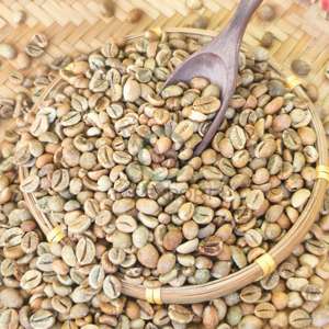 Factory Supply Robusta Selected Coffee <b>Beans</b> Robusta Size 16 Natural/ Honey Process OEM ODM <b>Bags</b> Over 90% Ripeness - Product Image 2