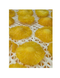 Rodajas de Piña Seca Premium de Vietnam, Textura Suave, Sabor Dulce, Snack Tropical para Compradores Mayoristas - Product Image 1