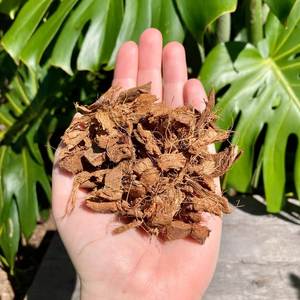Cáscaras de Coco Lavadas de Bajo Contenido de CE al por Mayor para Cultivo de Orquídeas, Plantas Tropicales, Invernaderos y Cultivadores Profesionales - Product Image 5