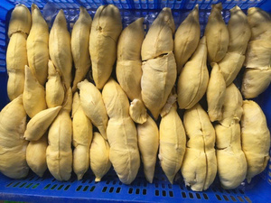 Purée de durian surgelée de qualité supérieure, qualité export, purée de fruits tropicaux - Product Image 6