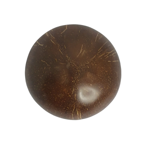 Bols modernes écologiques en coquille de noix de coco polie, durables, sans plomb, sans danger pour les aliments, vente en gros, cuillère incluse, vaisselle de mariage - Product Image 4
