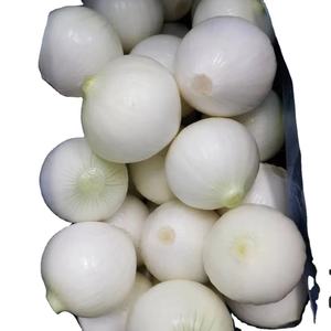 Granulés d'oignon blanc déshydratés de haute qualité, les plus vendus en gros - Product Image 1