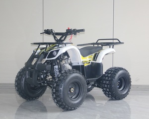 <span class=keywords><strong>Quad</strong></span> électrique tout-terrain 125cc en gros, ATV sportif d'usine avec certification CE, nouveau design, fournisseur de quads 125cc pour enfants et jeunes - Product Image 4