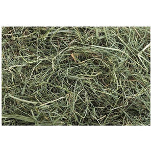 Heno de Timothy para Alimentación Animal, Heno de Pasto de Alta Demanda, Suministro al por Mayor a Nivel Mundial - Product Image 3