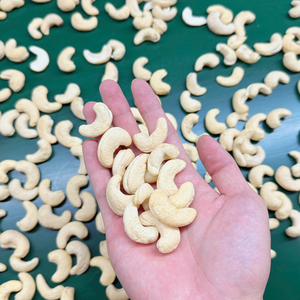 ตัวอย่างเม็ดมะม่วงหิมพานต์ฟรี เม็ดมะม่วงหิมพานต์พร้อมส่ง คัชชูบาดัม ซานติโก - Product Image 4