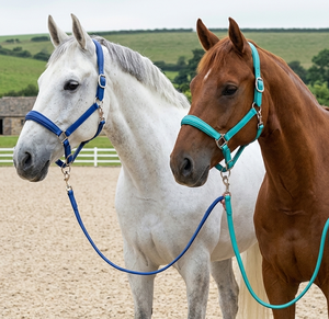 Cabestro de Cuero Vacuno Suave de Primera Calidad para Caballo con Herrajes de Acero Inoxidable, Diseño Duradero y Cómodo, Aspecto Elegante - Product Image 6