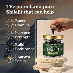 Résine de Shilajit Traditionnelle de l'Himalaya 30g Riche en Minéraux 100% Naturelle Qualité Export Fournisseur en Gros Inde - Product Image 3