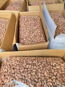 เม็ดมะม่วงหิมพานต์ออร์แกนิกระดับพรีเมียมจากเวียดนาม W240 ขนาดใหญ่ ได้รับการรับรองมาตรฐาน HACCP คุณภาพเยี่ยม แบบดิบ อบแห้ง ส่งออกสู่ตลาดโลก - Product Image 4