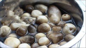 Champignons en conserve entiers de qualité supérieure du Vietnam, qualité alimentaire, vente en gros, export, fabricant OEM, marque privée - Product Image 2