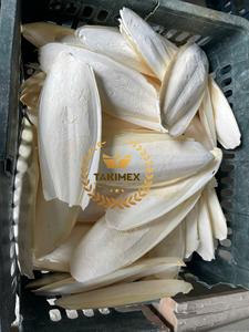 Jouet à mâcher pour animaux de compagnie en grande quantité, os de seiche séchée de qualité supérieure du fournisseur fiable - Product Image 5