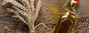 Aceite esencial de germen de trigo cultivado salvaje Extracto de hierbas puramente naturales en forma líquida exportado a granel empaquetado en botellas - Product Image 4