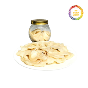 Bulk Supply Dried Soursop Slices Industrial Grade Packaging For Large Scale Wholesale Distribution Global Trade - Product Image 5