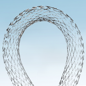 EVERFLEX PROTEGE Sistema de Stent Vascular Periférico de Alto Rendimiento para Aplicaciones Clínicas Profesionales - Product Image 2