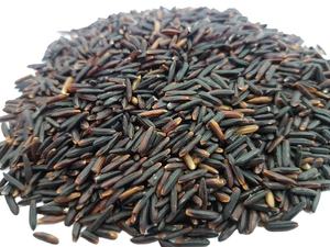 Riz noir vietnamien de qualité supérieure, grain entier naturel, riche en fibres et antioxydants pour une alimentation saine, export en vrac [Evelyn] - Product Image 6