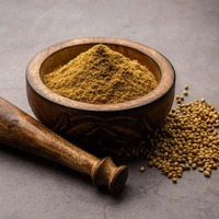 Poudre de coriandre de qualité alimentaire à forte saveur, épice Dhania pour la préparation de sauces, la fabrication de snacks et le commerce mondial