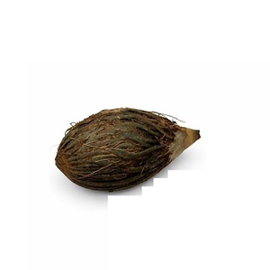 Lughu Nariyal Shriphal Mahalaxmi Pooja Christmas Other Puja Path Non Comestible Sculpture en Bois Utilisée Uniquement pour Puja Hawan 11 Pièces - Product Image 3