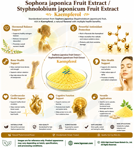 Hgo สารสกัดจากผลไม้โซโฟราจาโปนิกา/สารสกัดจากผลไม้ (เกรดอาหาร) ดินขาว50%-98% - Product Image 6