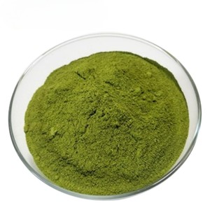 Poudre d'extrait de feuille de Moringa riche en antioxydants, poudre de Moringa pure, soutient l'immunité et la santé des cheveux et de la peau, fournisseur en gros d'Inde - Product Image 1