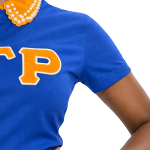 Camiseta Azul de Chenilla Sigma Gamma Rho para Mujer, Bordado de Letras Griegas, Mezcla de Algodón, Manga Corta, Estilo Casual y Elegante - Product Image 6