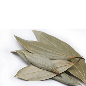 Feuilles de Laurier Indien Bio Entières Séchées au Soleil, Qualité Premium, Épices Aromatiques, Herbes, Qualité Export, Lot en Vrac de 5kg, Épice Indienne Naturelle - Product Image 6