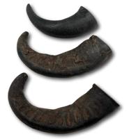 Corne de buffle brute, écologique, forme naturelle pour la sculpture artisanale et la fabrication de poignées BINSADIQ CRAFTS