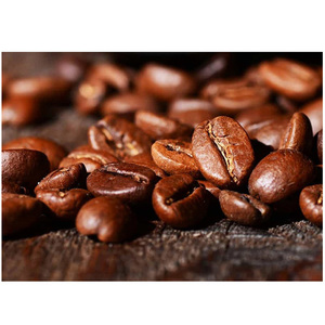 Granos de café verde natural de alta calidad para la venta al por mayor. Granos de café Arábica tostados. Compre granos de café tostados a precio económico. - Product Image 2