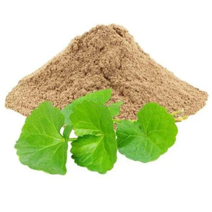 Polvo de Brahmi Seco Natural |   Bacopa Monnieri |   Potenciador de Memoria Herbal para el Alivio del Estrés |   99% de Pureza |   Marca CareQue |   Rajasthan - Product Image 1