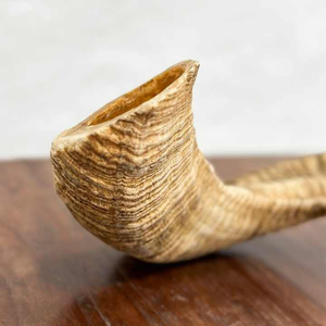 ที่ไม่ซ้ำกันธรรมชาติแกะฮอร์น shofar jews Horn เป็นมิตรกับสิ่งแวดล้อมปรับแต่งขนาด - Product Image 3