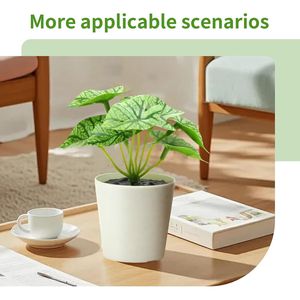 Set di 6 Piante Artificiali in Vaso Stile Fattoria per Casa, Ufficio, Soggiorno, Cucina, Aula, Tavolo, Scaffale, Scrivania - Decorazioni con Piante Finte - Product Image 2