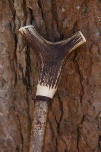 Bastón Clásico de Cuerno de Búfalo Natural Pulido, Elegante y Rústico, Hecho a Mano, Coleccionable, Bastón Navideño - Product Image 4