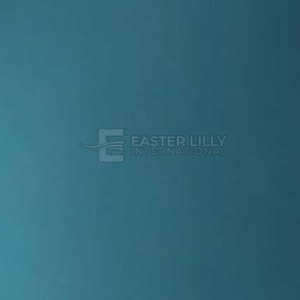 Rashguard de BJJ de Último Diseño, Hecho a Medida por Profesionales, de Alta Calidad para Hombre - Product Image 6