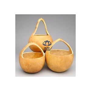 Bol en coquille de calebasse naturelle, très demandé |   Plat de service artisanal pur pour restaurant - Product Image 1