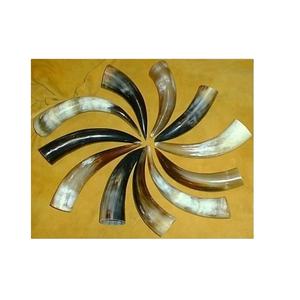 Reasonable Price Drinking <b>Horn</b> with Customized Size Bast Natural <b>Horn</b> Color <b>Buffalo</b> <b>Horn</b> Hand Made Polish Low Price - Product Image 1