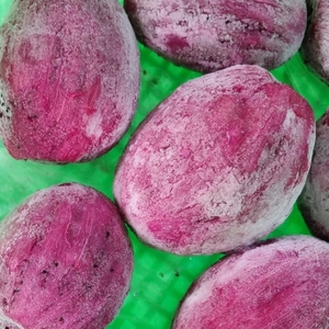 Fruta del Dragón Roja Congelada IQF del Fabricante Viet Delta |   Exportación a granel - Product Image 4