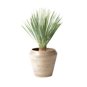 Pot de fleurs en bambou tressé écologique, pot de fleurs design, pot de fleurs d'intérieur pour décoration de maison de style scandinave en provenance du Vietnam - Product Image 1