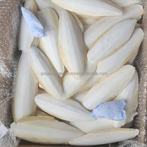 Os de Seiche Séché Hai Piao Xiao – Disponible en Stock – Os de Seiche Séché (Os de Calamar) Toutes Tailles - Product Image 5