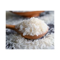 Riz jasmin du Brésil de qualité supérieure, riz à grains longs premium pour l'industrie hôtelière et les applications de restauration