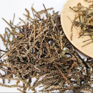 Esencia Botánica Oriental: Hojas Secas de Plantago Asiatica para Compradores de Hierbas en Todo el Mundo - Product Image 1