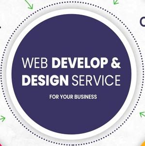 Ofrecemos servicios de diseño y desarrollo web responsivo enfocados en la creación de negocios profesionales B2B - Product Image 1