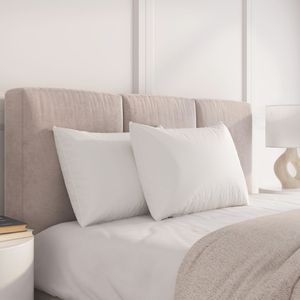 หมอนหนุนเตียงคู่ดรีมบิ๊กแพ็คคู่ - Product Image 1