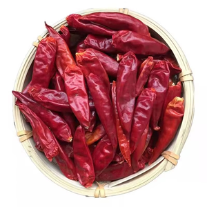 Piments rouges séchés à l'air offrant une saveur de piment de Cayenne, utilisés dans les mélanges d'épices piquantes et comme ingrédients pour sauces, avec emballage d'exportation pour les acheteurs en gros. - Product Image 3