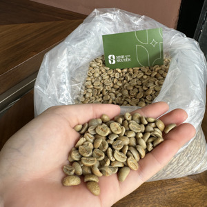 Grains de café vert Arabica du Vietnam S16 S18 méthode de miel qualité supérieure pour les acheteurs mondiaux - Product Image 4