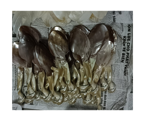 Ensemble de cuillères classiques en nacre, cuillère à caviar à long manche, design coquillage, finition miroir, cadeau pour mariage ou fête, 10 ml - Product Image 3