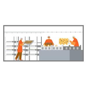 Residuos de frutas <span class=keywords><strong>BSF</strong></span> 250t/semana Black Soldier Fly Equipment Farm <span class=keywords><strong>BSF</strong></span> - Product Image 2