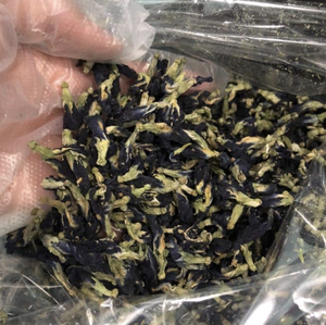 Fleur de pois papillon riche en anthocyanes pour le soutien des fonctions oculaires et cérébrales – Prix de gros pour l'approvisionnement en produits à base de plantes - Product Image 5