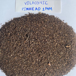 Pimienta Negra Vietnamita Pinhead de Alta Calidad, Binh Phuoc, 50 kg, 2 Años de Duración, Gran Cantidad, Venta al por Mayor, Calidad de Exportación, Ms. Sophie - Product Image 1