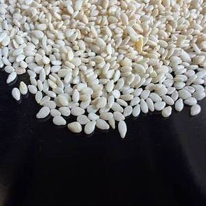 Graines de sésame décortiquées indiennes de qualité supérieure pour ingrédients alimentaires prêts à l'emploi, fabrication de produits de boulangerie et distribution en gros - Product Image 5