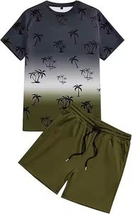 Conjuntos de Camisetas de Algodón 100% Tejidas al por Mayor para Hombre, Conjuntos Deportivos Casuales de Secado Rápido, Conjunto de Dos Piezas de Camiseta y Pantalones Cortos para Hombre - Product Image 1