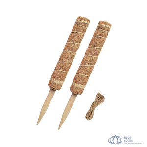 [MEJOR CALIFICADO] BLUE LOTUS FARM - Soporte Simple de Fibra de Coco para Plantas Trepadoras de Interior, Directo de Fábrica en Vietnam - Product Image 1